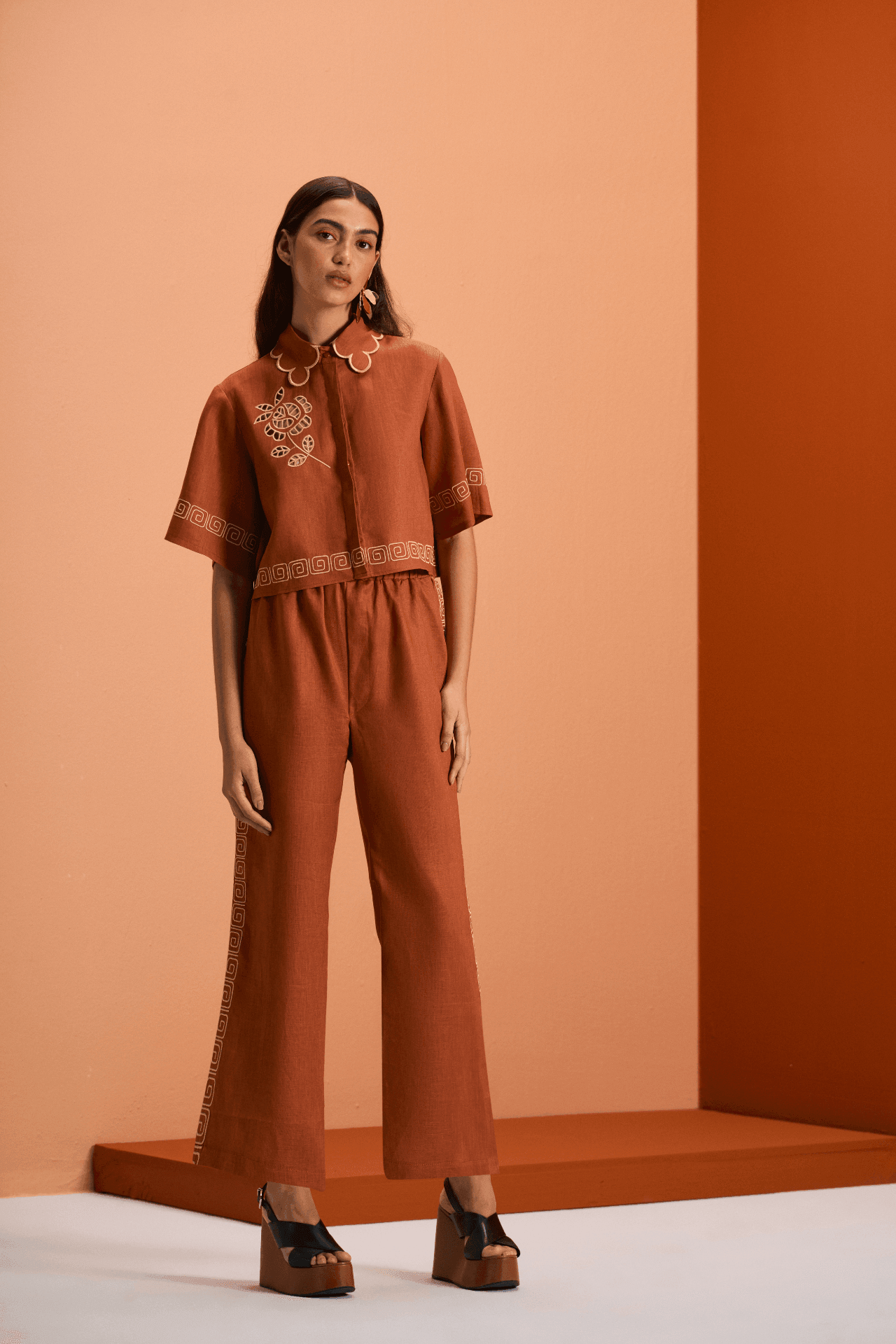 #Color_Brown