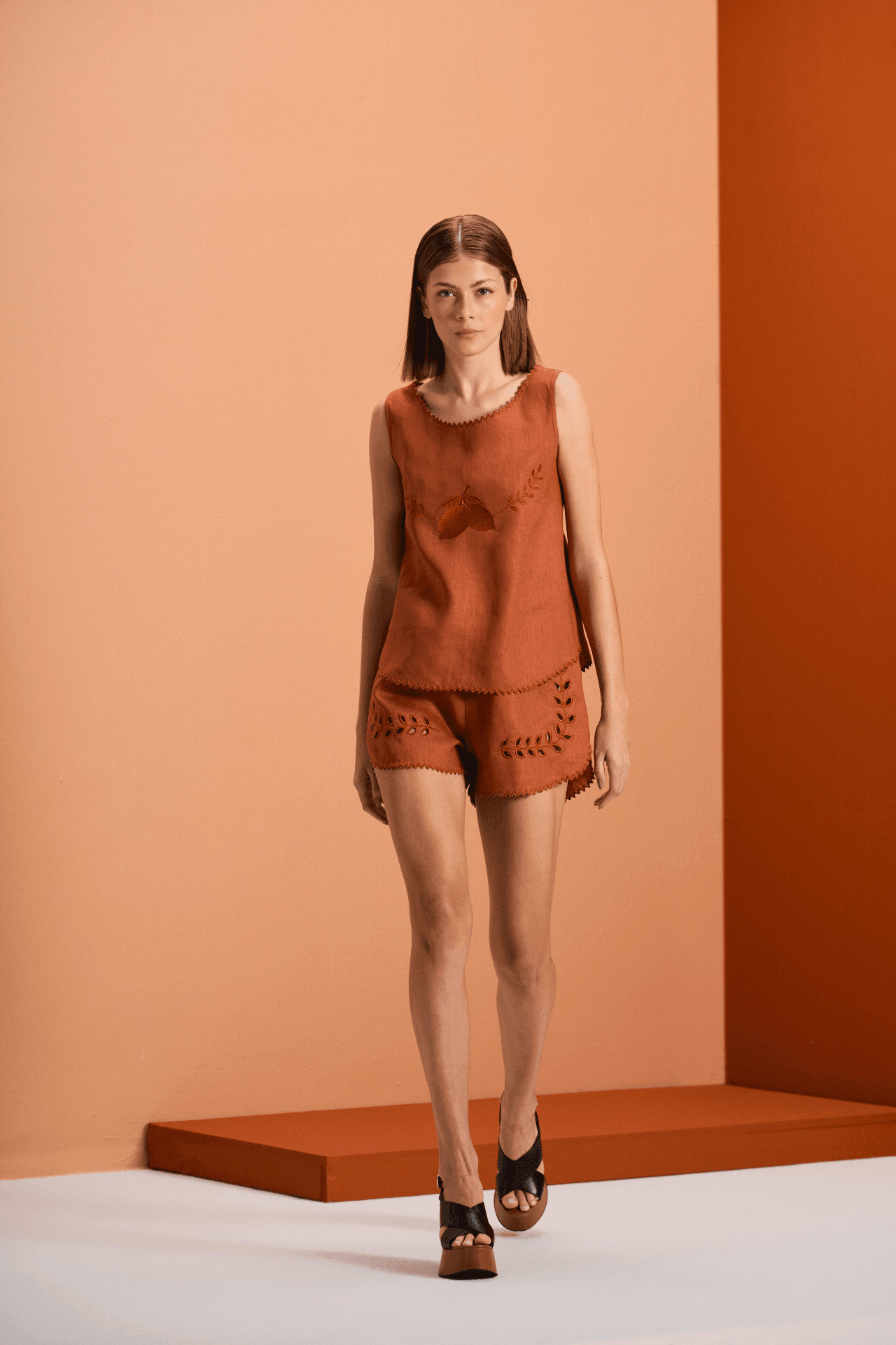 #Color_brown