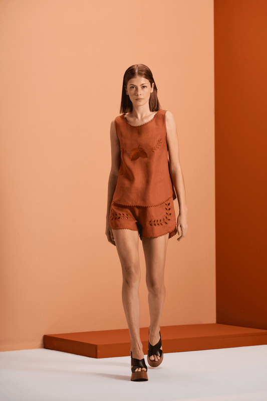 #Color_brown